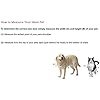 Ideal Pet Products Aluminum Sash Window Pet Door, Adjustable to Fit Window Widths from 33″ to 38″, Large 10-1/2” x 15” Flap Size - Image 3