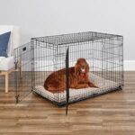 MidWest Homes for Pets 42-Inch iCrate for Large Breeds, 71-90 lbs, Double Door Folding Dog Crate with Divider Panel, Leak-Proof Tray & Secure Latches, Portable, Durable & Easy to Assemble - Image 3